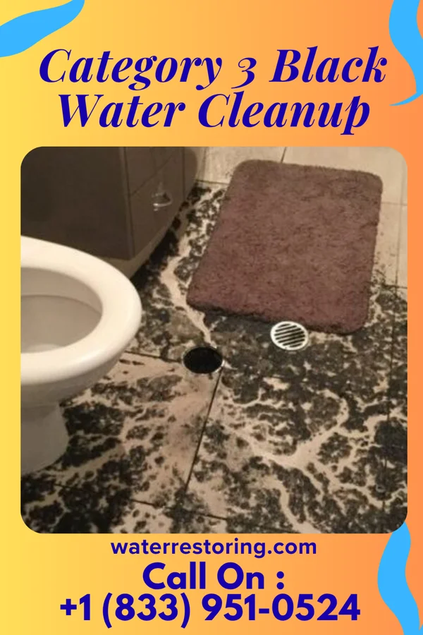 Category 3 Black Water Cleanup in Corbin City, NJ