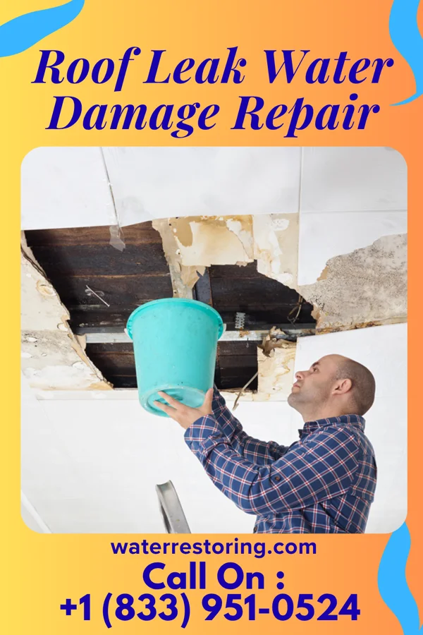 Roof Leak Water Damage Repair in Corbin City, NJ