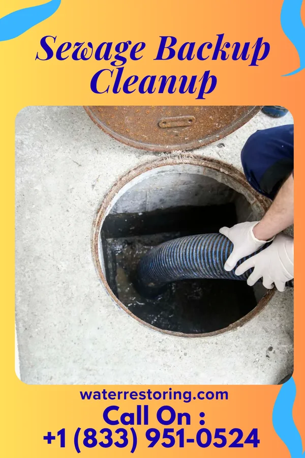 Sewage Backup Cleanup in Corbin City, NJ