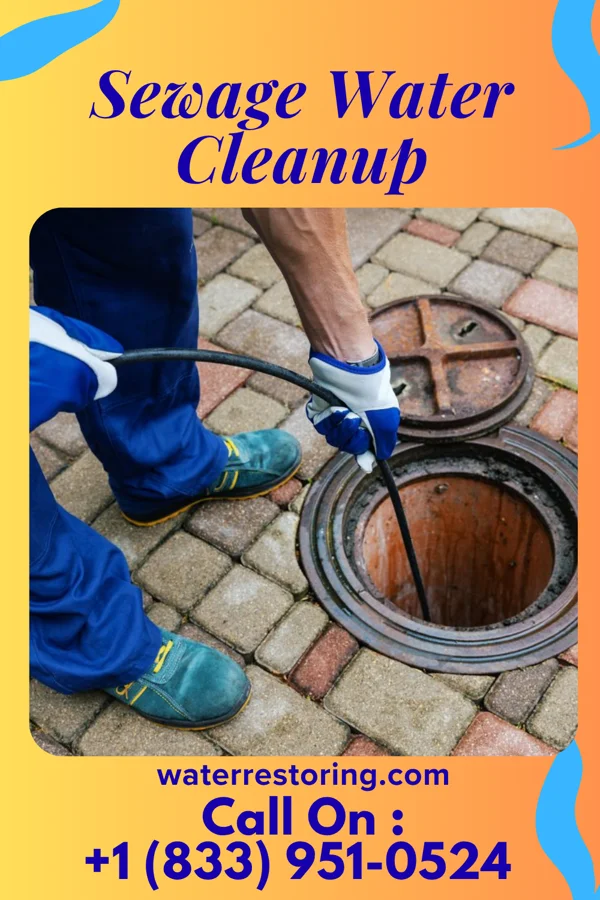 Sewage Water Cleanup in Corbin City, NJ