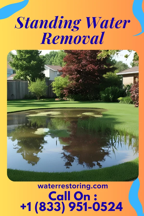 Standing Water Removal in Corbin City, NJ